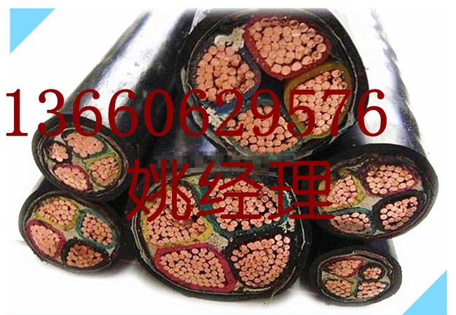 珠江冠纜電線(xiàn)電纜